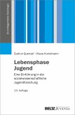 Lebensphase Jugend (eBook, PDF)