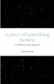 a piece of something broken