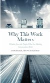 Why This Work Matters
