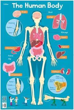 Human Body - Collins Kids