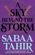 A Sky Beyond the Storm - Bild 1
