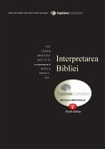 Bible Interpretation, Mentor's Guide