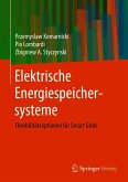 Elektrische Energiespeichersysteme (eBook, PDF)