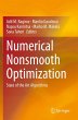 Numerical Nonsmooth Optimization - Bild 1