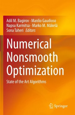 Numerical Nonsmooth Optimization