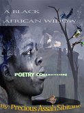 A Black African Widow (eBook, ePUB)