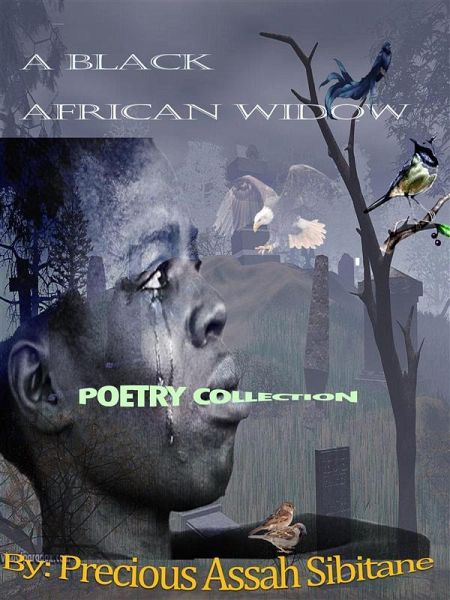 A Black African Widow (eBook, ePUB) A Black African Widow (eBook, ePUB)