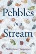 Pebbles in a Stream (eBook, ePUB) - Bild 1