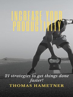 Increase your productivity (eBook, ePUB) - Hametner, Thomas