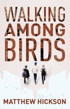 Walking Among Birds (eBook, ePUB) - Hickson, Matthew