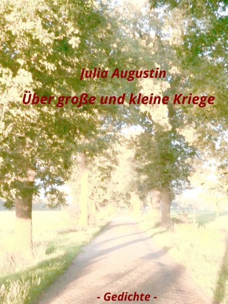 Über große und kleine Kriege (eBook, ePUB)