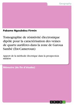 Tomographie de résistivité électronique dipôle pour la caractérisation des veines de quartz aurifères dans la zone de Garoua Sambé (Est-Cameroun) (eBook, PDF)