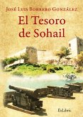 El tesoro de Sohail (eBook, ePUB)