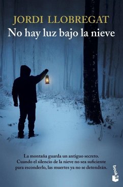 Cover No hay luz bajo la nieve