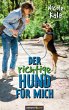 Der richtige Hund für mich - Bild 1