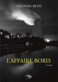 L'Affaire Boris (eBook, ePUB)