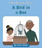 A Bird in a Box