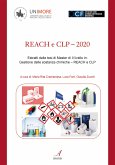 Reach e CLP 2020 (eBook, PDF)