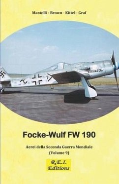 Focke-Wulf Fw 190 - Kittel - Graf, Mantelli - Brown