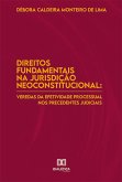 Direitos Fundamentais na Jurisdição Neoconstitucional (eBook, ePUB)