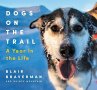 Dogs on the Trail - Bild 1