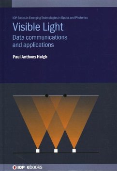 Visible Light - Haigh, Paul Anthony