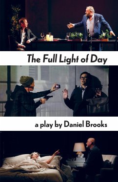 The Full Light of Day - Brooks, Daniel
