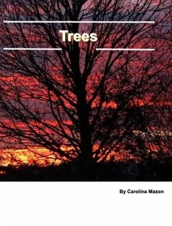 Trees 20x25 - Mazon, Carolina
