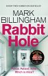 Rabbit Hole (eBook, ePUB) - Bild 1