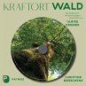 Kraftort Wald (MP3-Download) - Bild 1