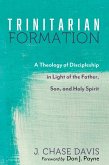Trinitarian Formation (eBook, ePUB)