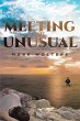 Meeting the Unusual (eBook, ePUB) - Bild 1