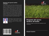 Risposta del grano tardivo all'azoto