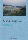 Ein Winter in Wicklow