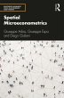 Spatial Microeconometrics (eBook, ePUB) - Bild 1