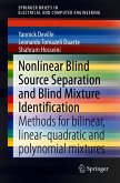 Nonlinear Blind Source Separation and Blind Mixture Identification (eBook, PDF)