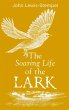 The Soaring Life of the Lark - Bild 1