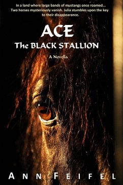 Cover Ace The Black Stallion (Mystery Horse Lover's Series, #1) (eBook, ePUB)