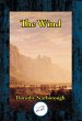 Wind (eBook, ePUB) - Bild 1