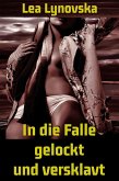 In die Falle gelockt und versklavt (eBook, ePUB)