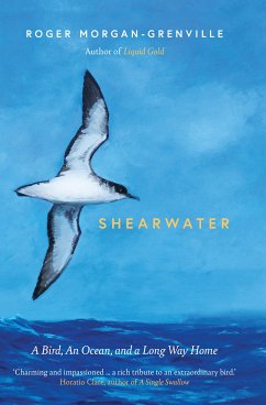 Shearwater (eBook, ePUB) - Morgan-Grenville, Roger