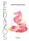 Pedazos (eBook, ePUB)