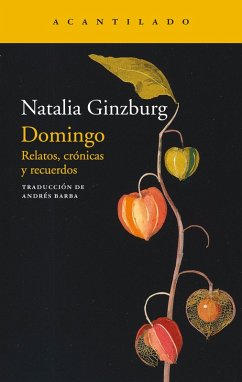 Domingo (eBook, ePUB) - Ginzburg, Natalia