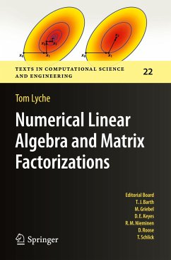Numerical Linear Algebra and Matrix Factorizations - Lyche, Tom