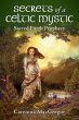 Secrets of a Celtic Mystic (eBook, ePUB) - Bild 1