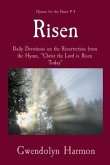 Risen (eBook, ePUB)