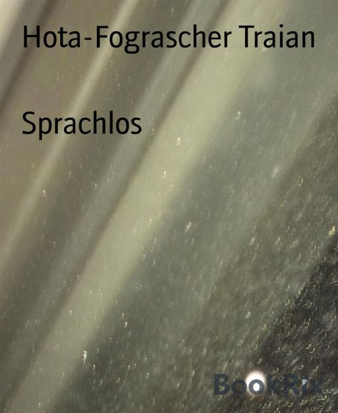 Sprachlos (eBook, ePUB)