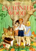 The Enchanted Wood (Faraway Tree #1) (eBook, ePUB)