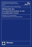 Effektivität des Grundrechtsschutzes in der Europäischen Union Effektivität des Grundrechtsschutzes in der Europäischen Union