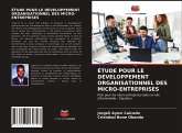 ÉTUDE POUR LE DÉVELOPPEMENT ORGANISATIONNEL DES MICRO-ENTREPRISES